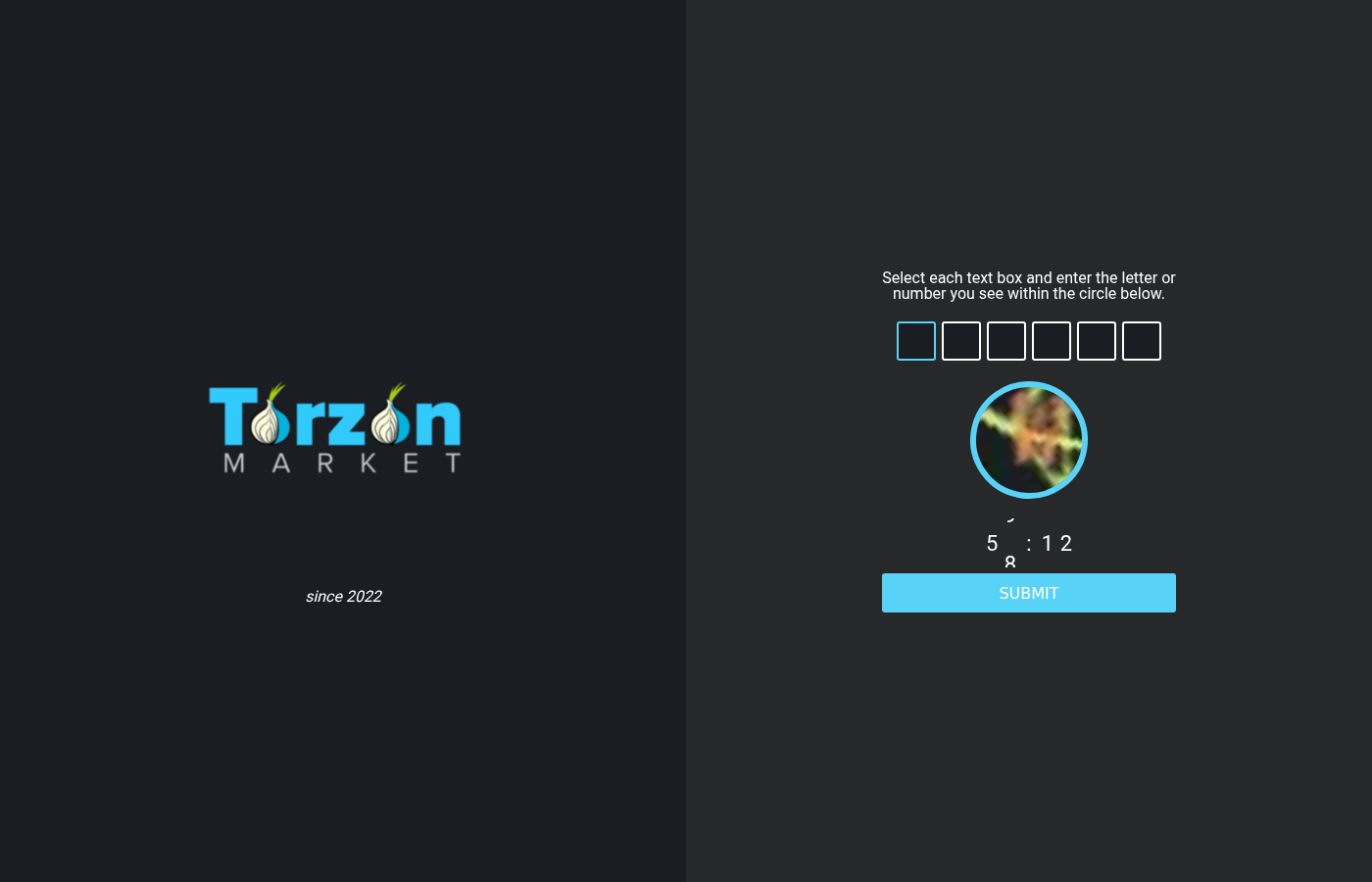 Screenshot of Torzon Market